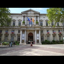 Das Rathaus von Avignon